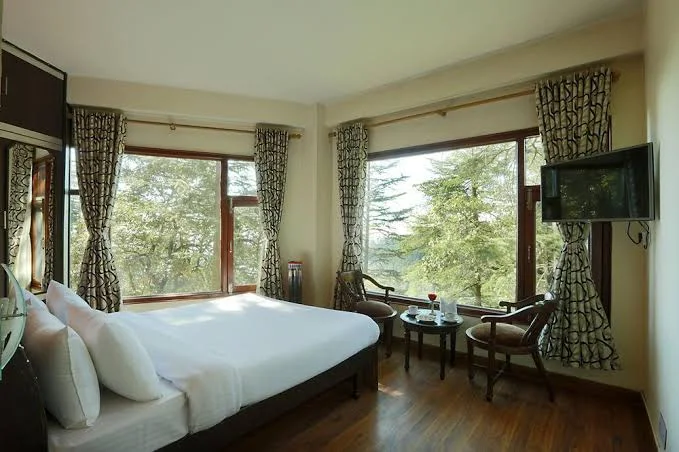 Fairmount Shimla Forest Greens - Image 3