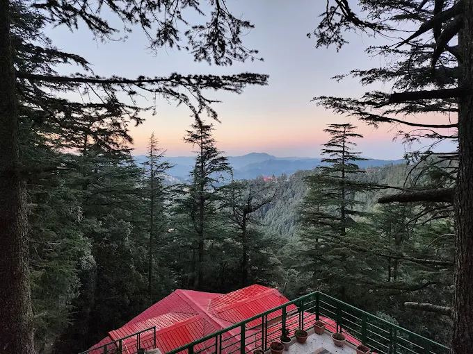 Fairmount Shimla Forest Greens - Image 2