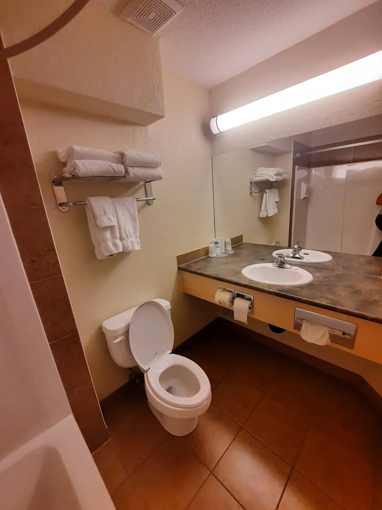 Lakeview Inns & Suites - Fort Nelson - Image 3