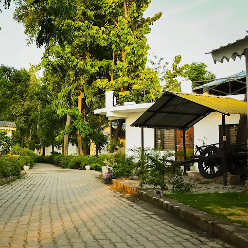 Ashoka Tiger Trail
