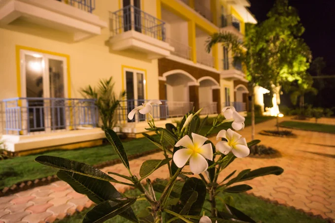 Passions de Goa