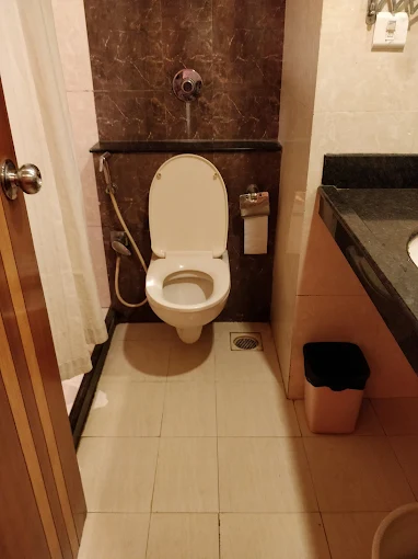 Hotel Juhu Plaza - Image 3