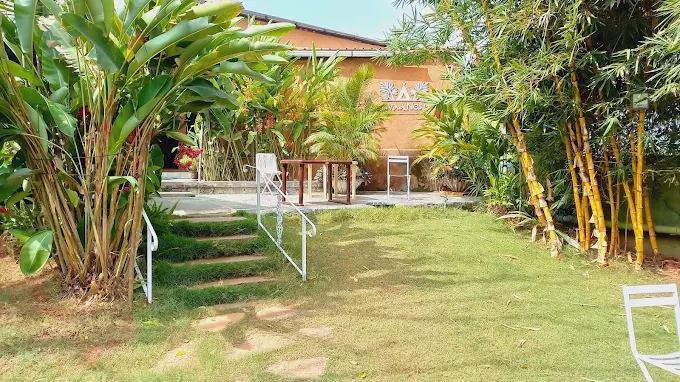 LIVAA NEST