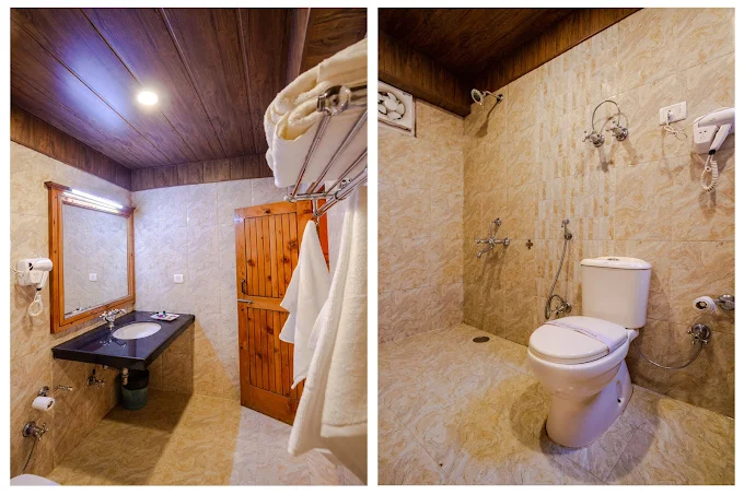 Hotel Himgiri Manali - Image 6