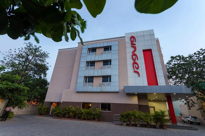 Ginger – Puducherry - Image 2